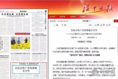 漢臺區(qū)畜牧獸醫(yī)技術推廣中心的創(chuàng)新實踐與成效